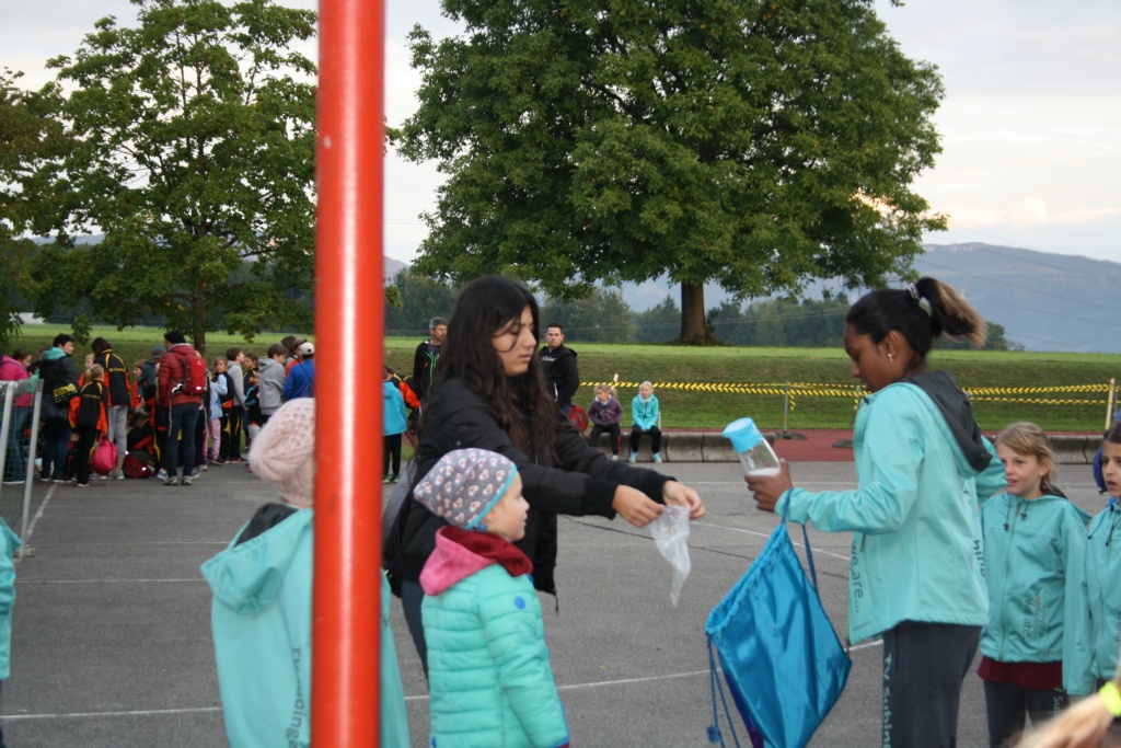 Bild 1 (7)